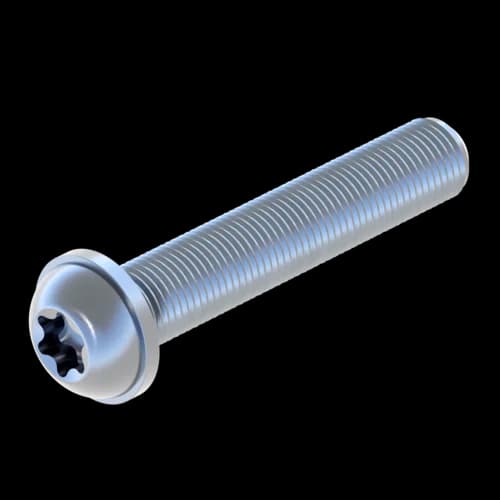 SCR_FLA_TT-M10x60.png